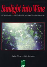 Sunlight into Wine
